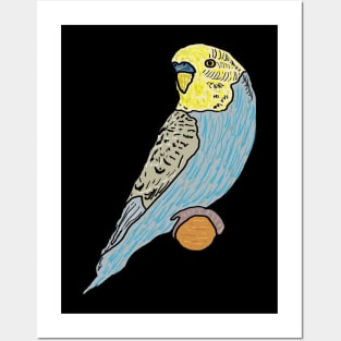 Budgie Posters and Art